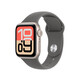 Apple Watch 40mm Sportband S/M steingrau