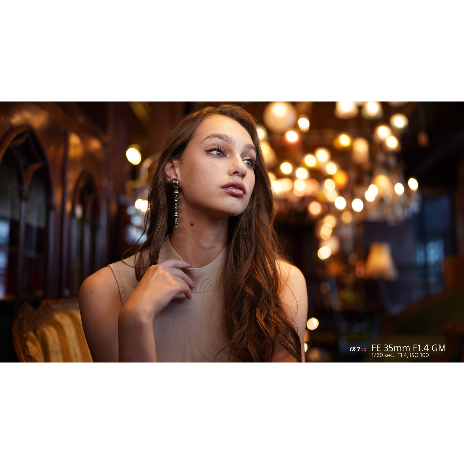 Sony SEL 35/1,4 GM