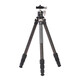 Leofoto RF-224C+ Ballhead LH-25 Stativ 