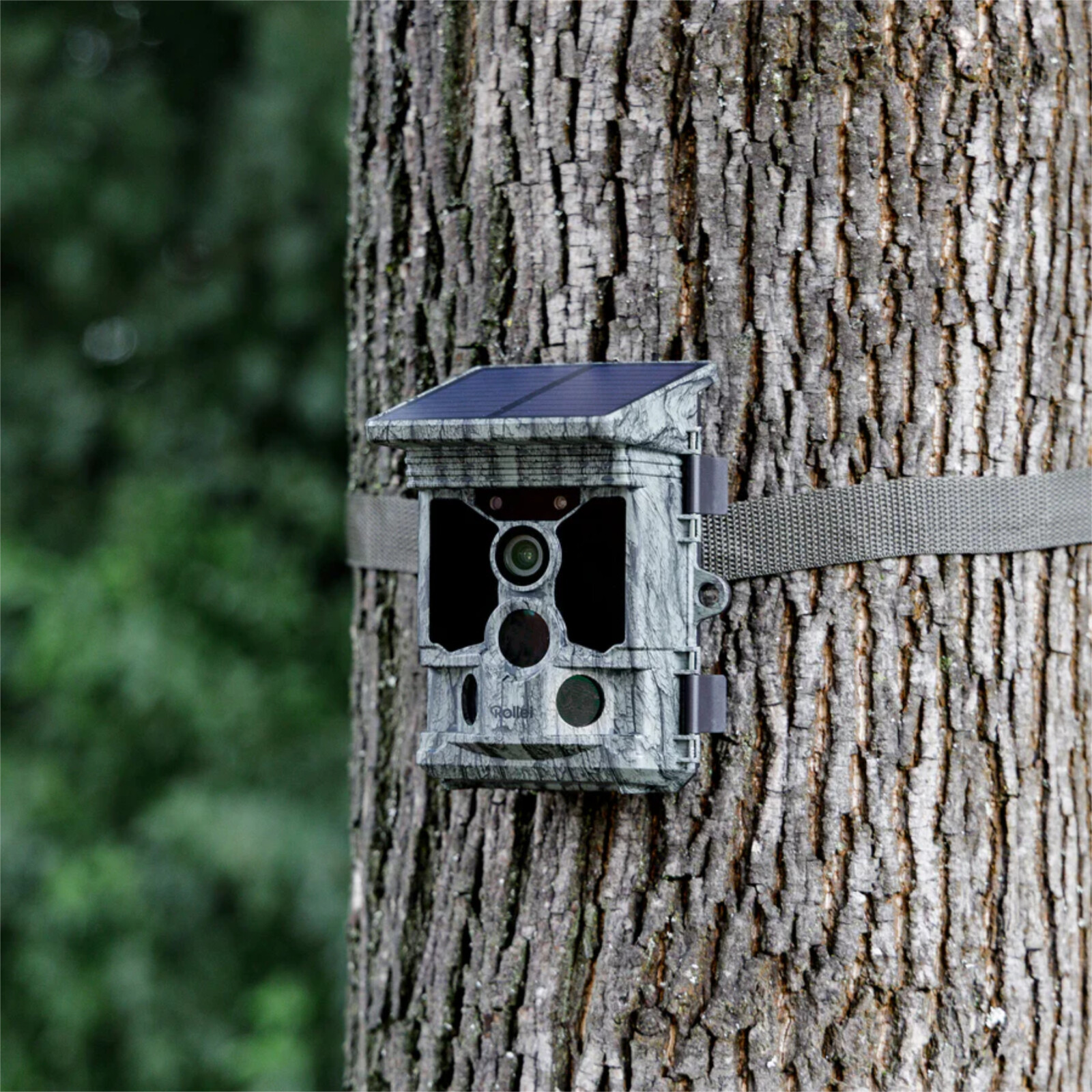 Rollei Wildkamera 4K WiFi Solar