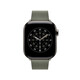 Apple Watch 42mm Sage Modern Buckle