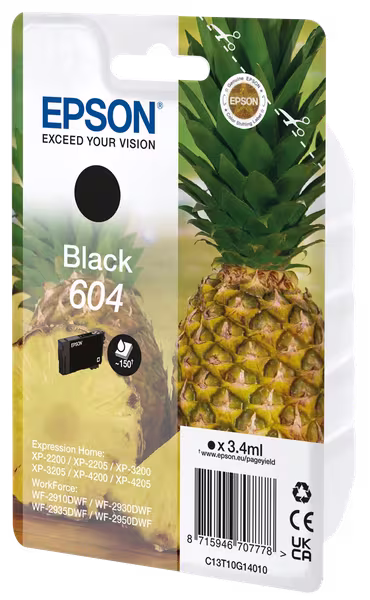 Epson Singlepack Ink Nr. 604 black