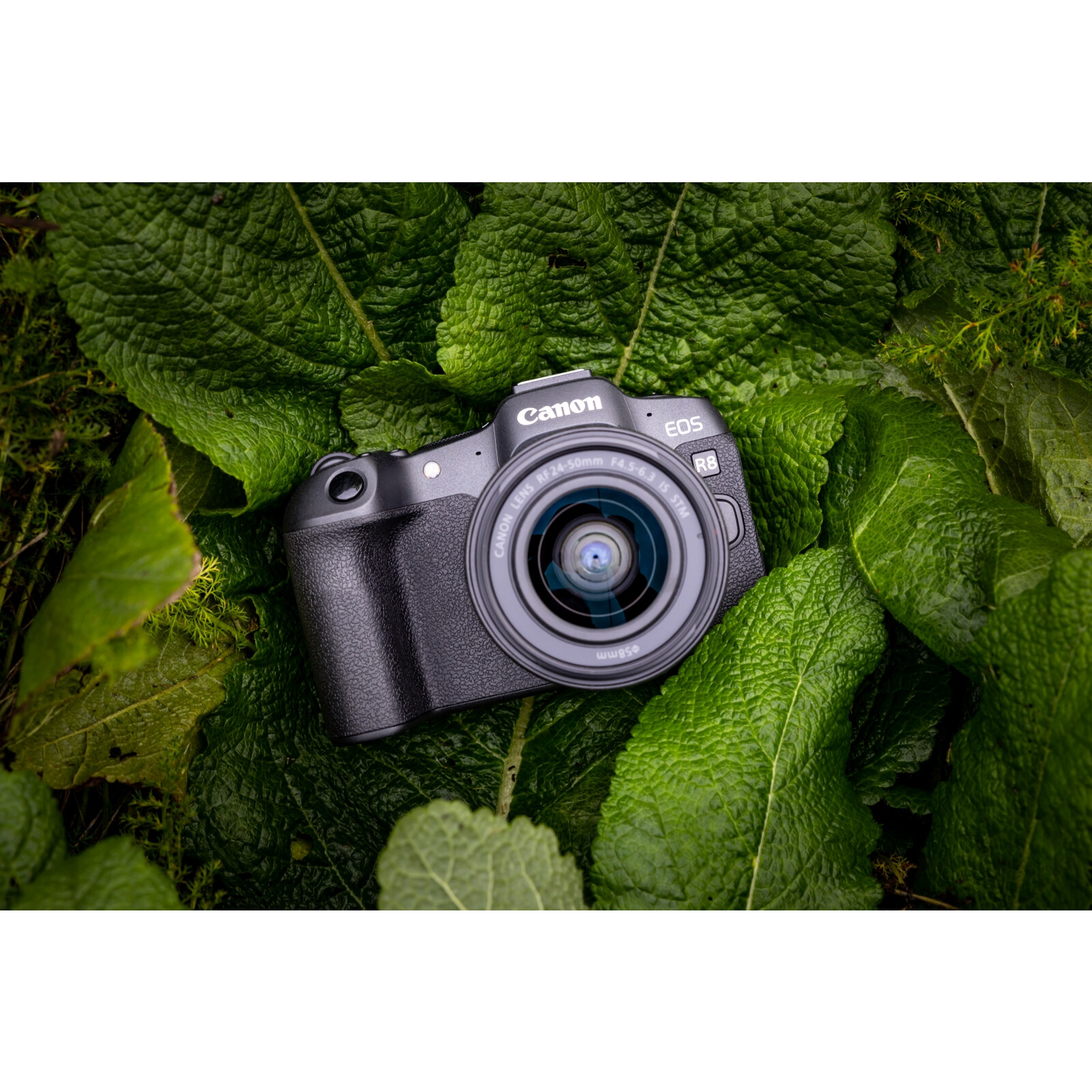 Canon EOS R8 + RF 24-50/4.5-6.3 IS STM​