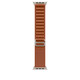 Apple Watch 49mm Terracotta Alpine Loop S natural Titan
