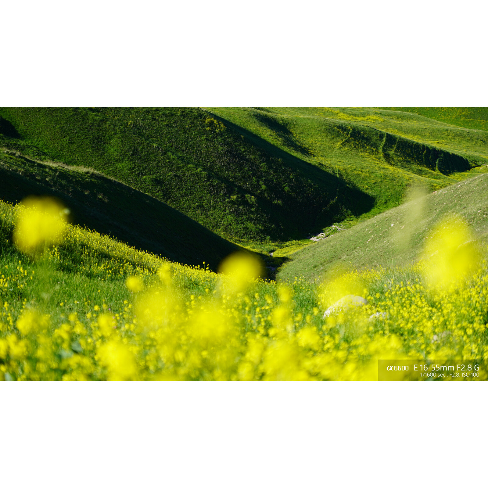 Sony SEL 16-55/2,8 G