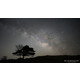Sony SEL 24/1,4 GM