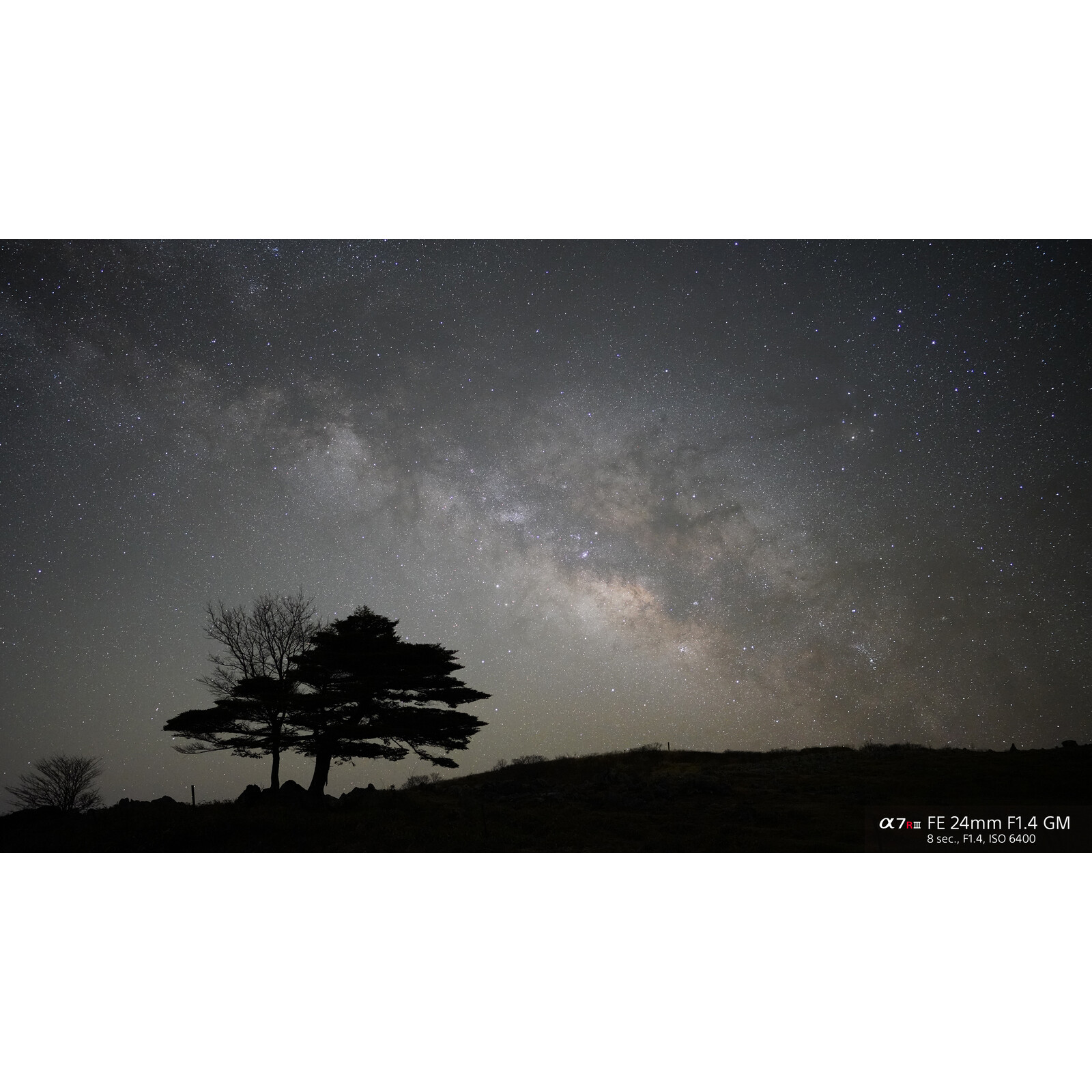 Sony SEL 24/1,4 GM