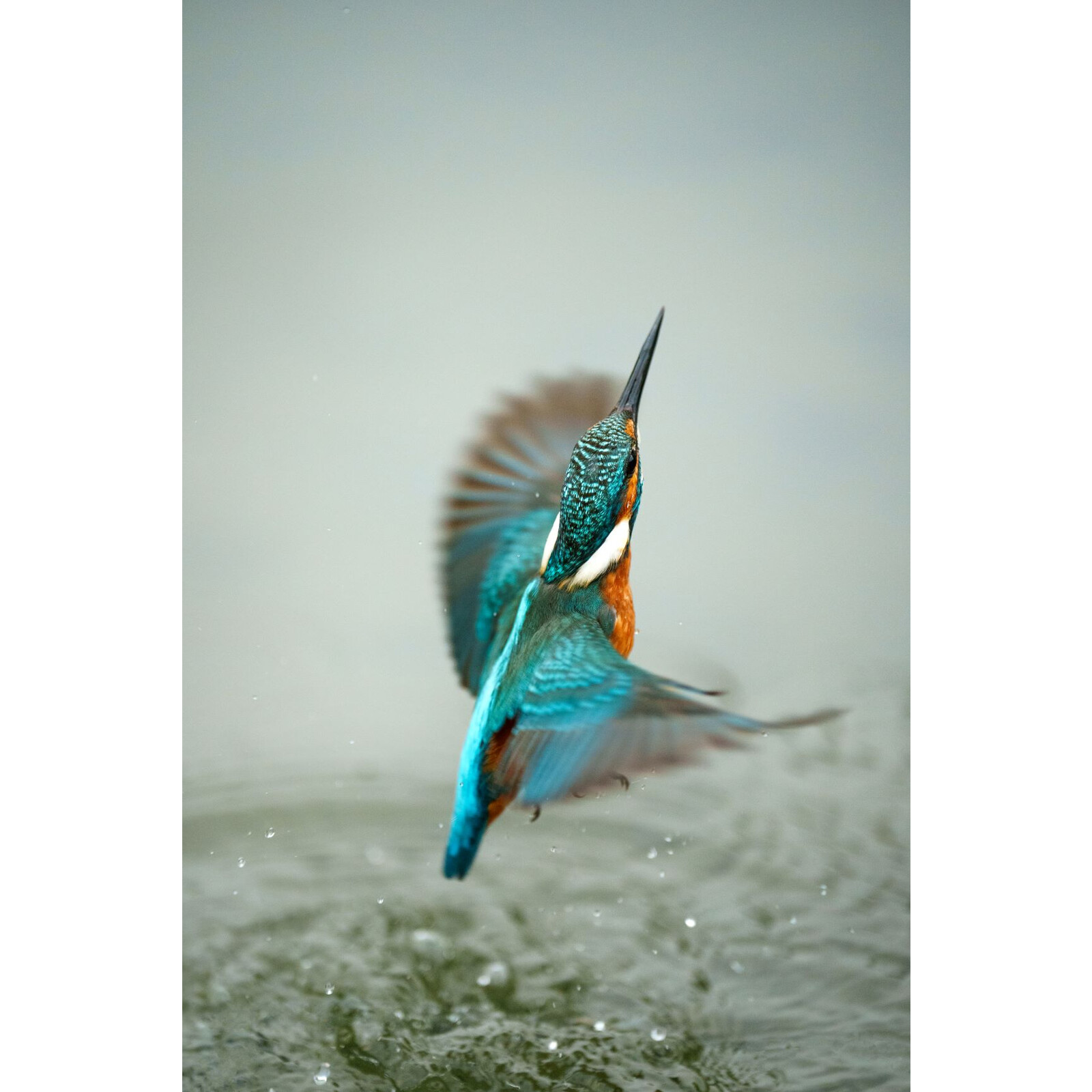Sony SEL 70200GMS FE 70-200/2,8 GM2