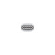 Apple USB-C zu Lightning Adapter
