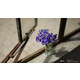 Sony SEL 50/1,8
