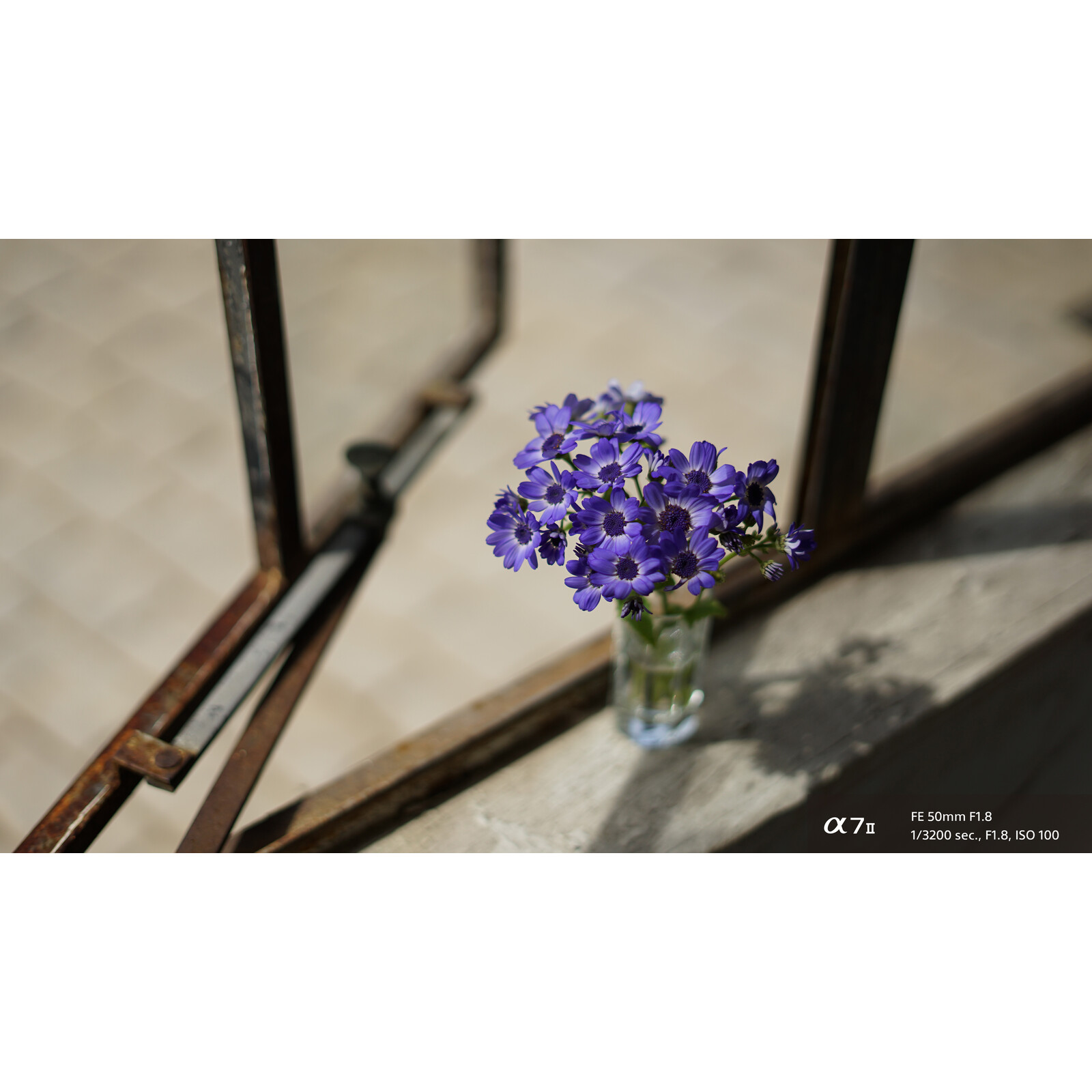 Sony SEL 50/1,8
