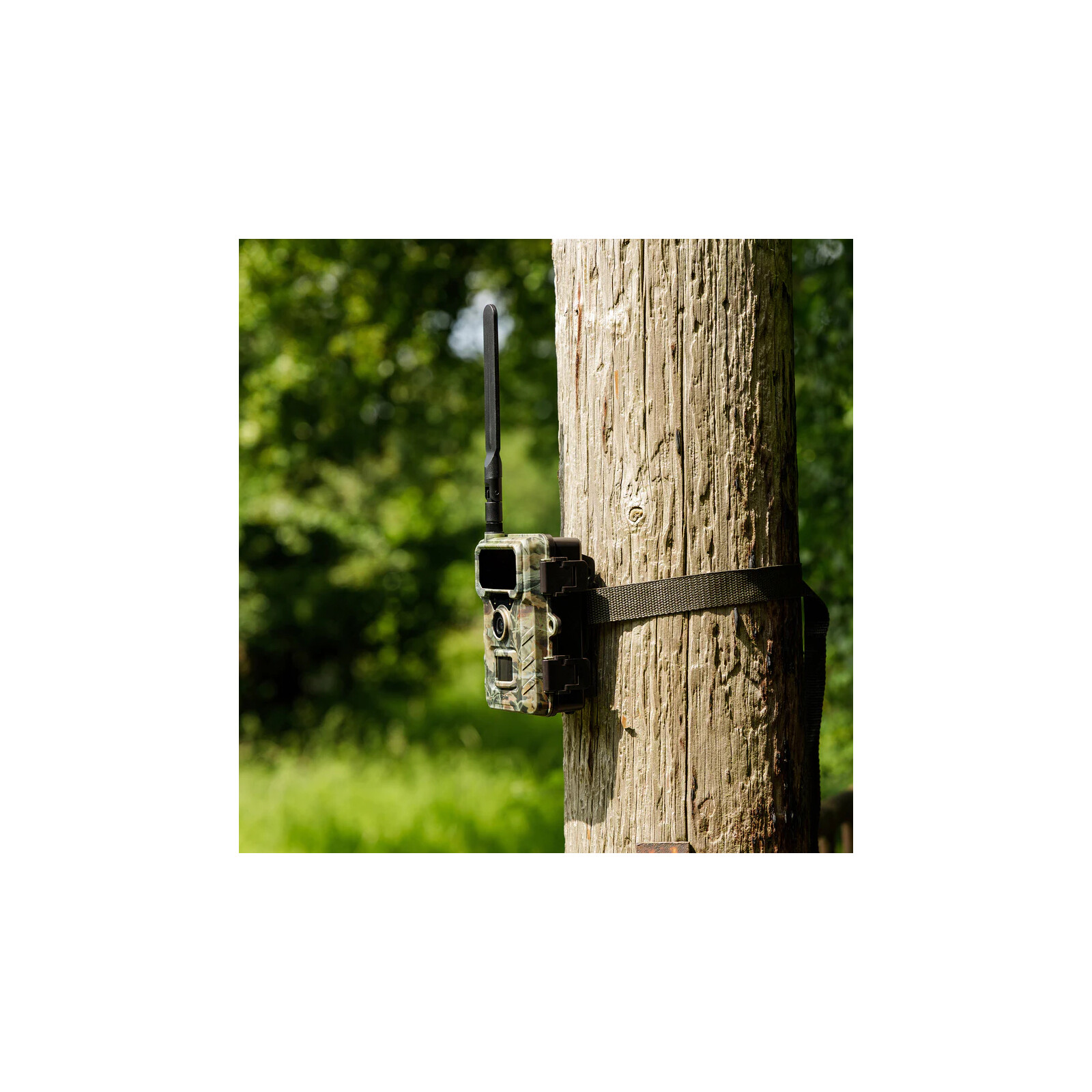 Rollei Wildkamera 4G SimConnect