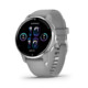 Garmin Venu 2 Plus silver/powder grey