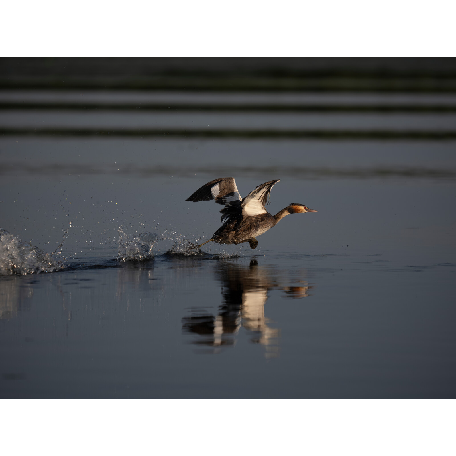 OM System M.Zuiko Digital ED PRO 50-200 / 2.8