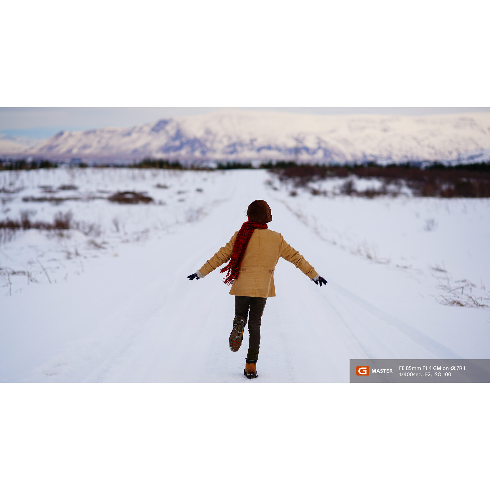 Sony SEL 85/1,4 GM