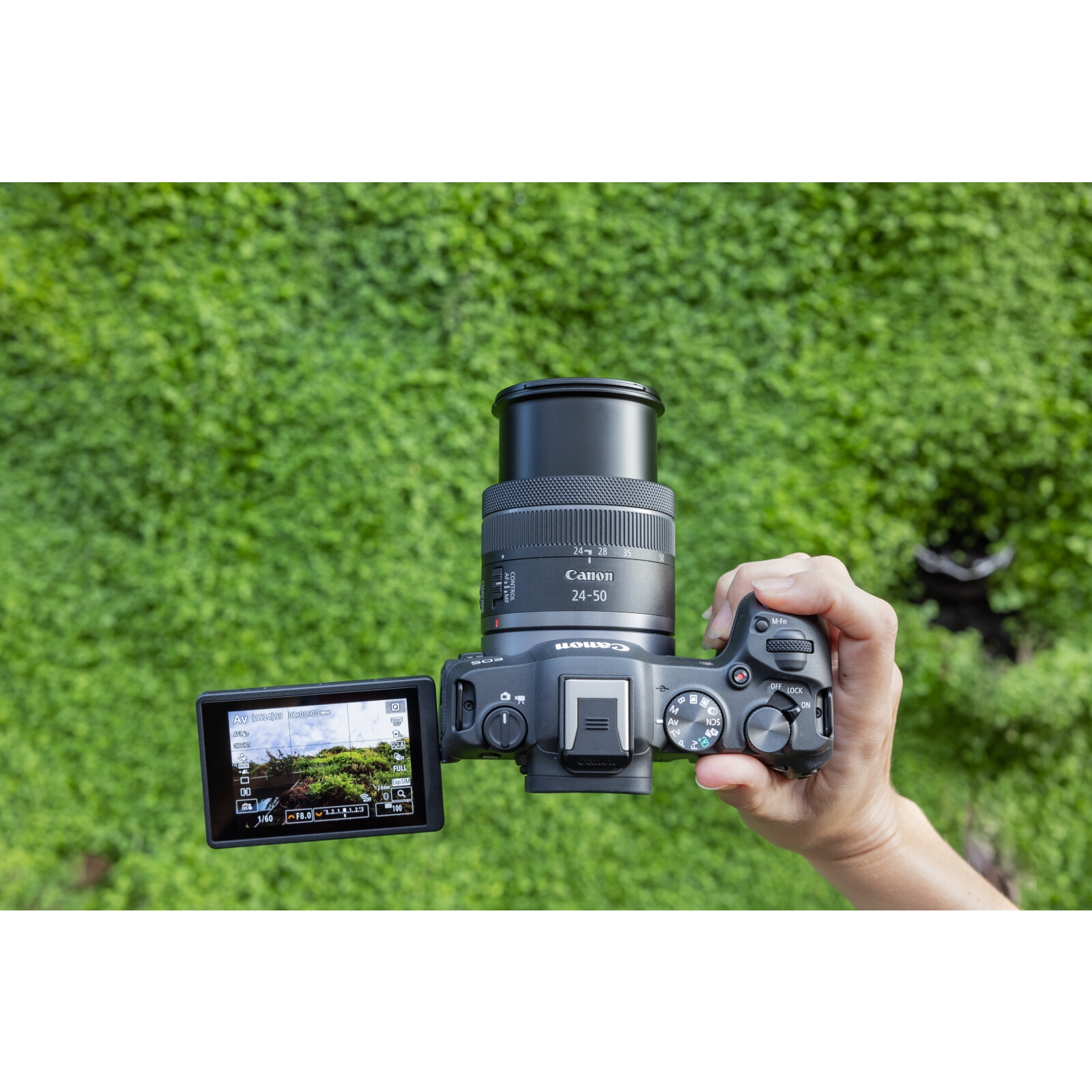 Canon EOS R8 + RF 24-50/4.5-6.3 IS STM​