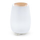 Beurer LA 45 Aroma Diffuser Green Planet