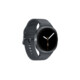 Samsung Galaxy Watch8 40mm BT Graphite