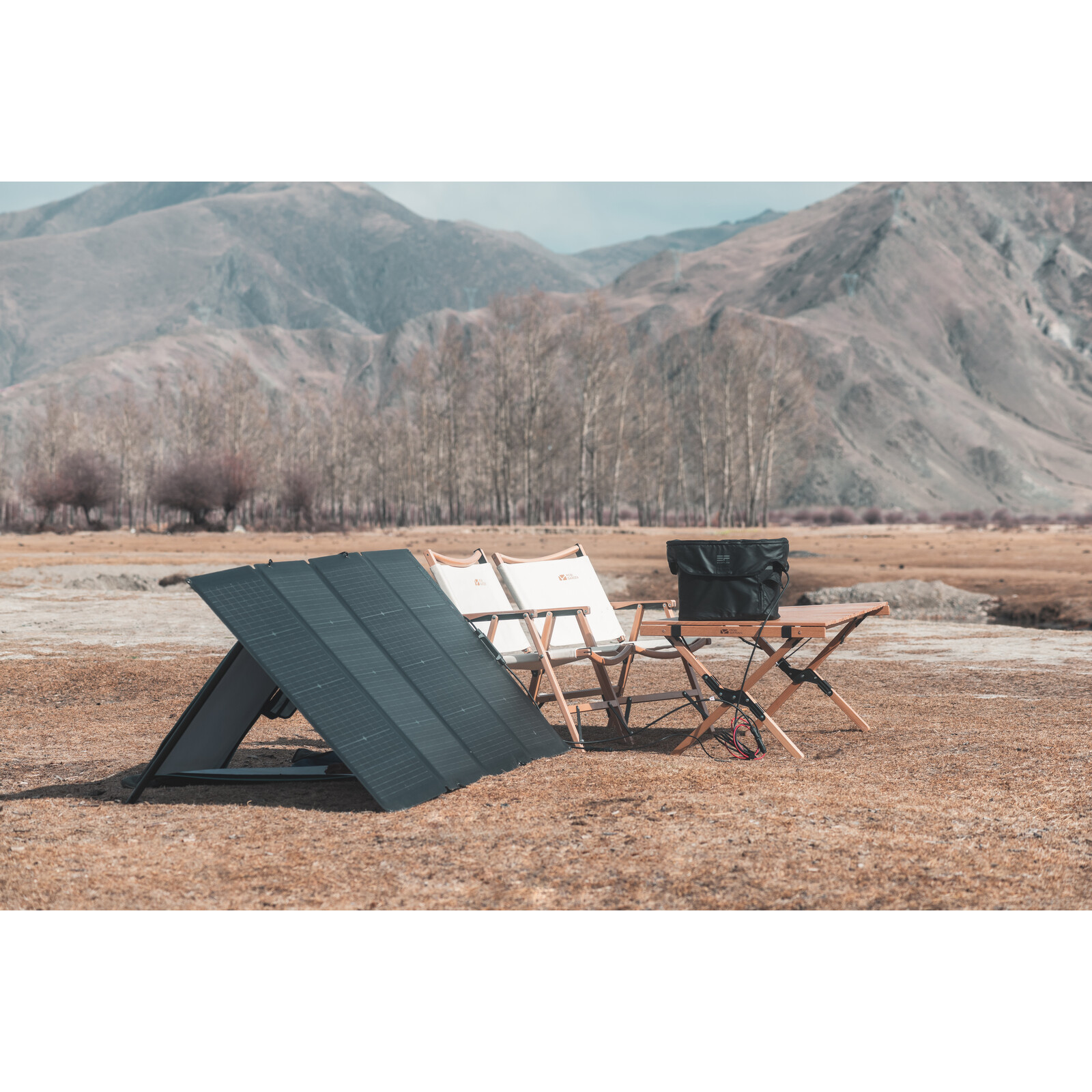 EcoFlow Solar Panel 220 Watt