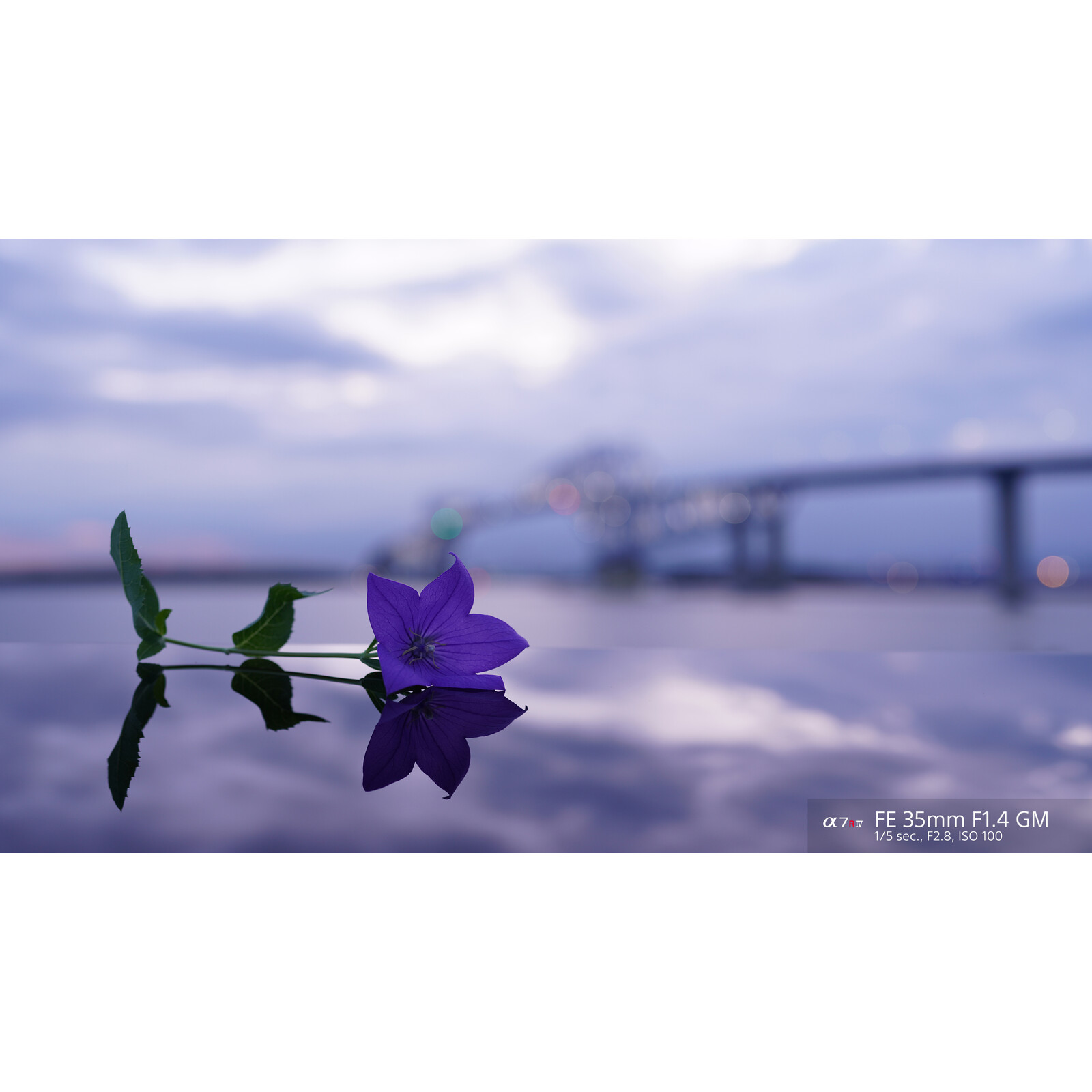 Sony SEL 35/1,4 GM