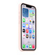 Apple iPhone 17e Silikon Case mit Magsafe zartrose