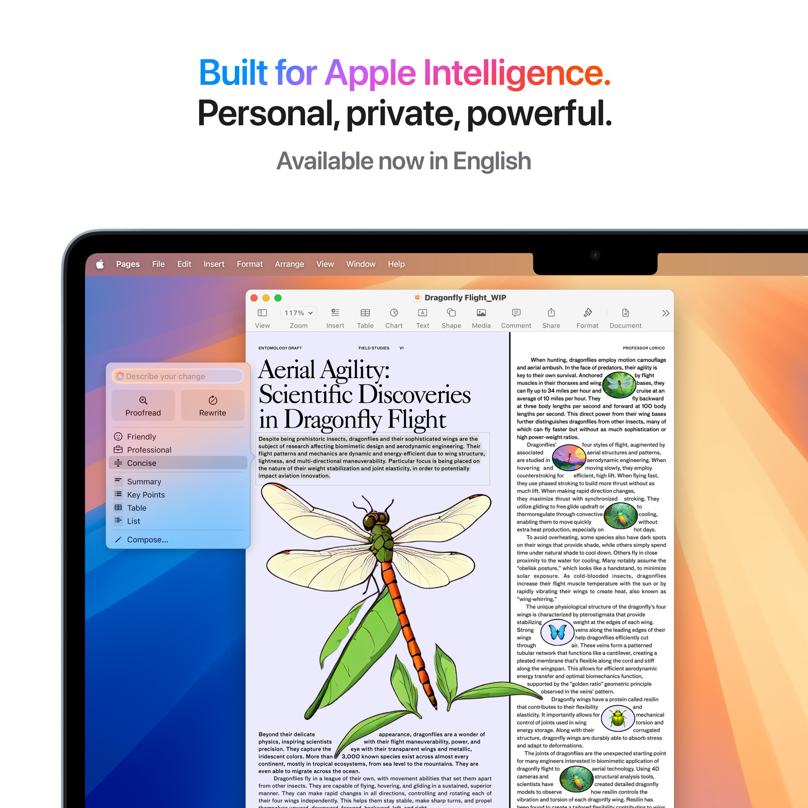 Apple MacBook Air 13 M4/10CPU/8GPU/16GB/256GB SSD polarstern