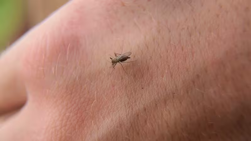 Beurer BR 60 Insektenstichheiler