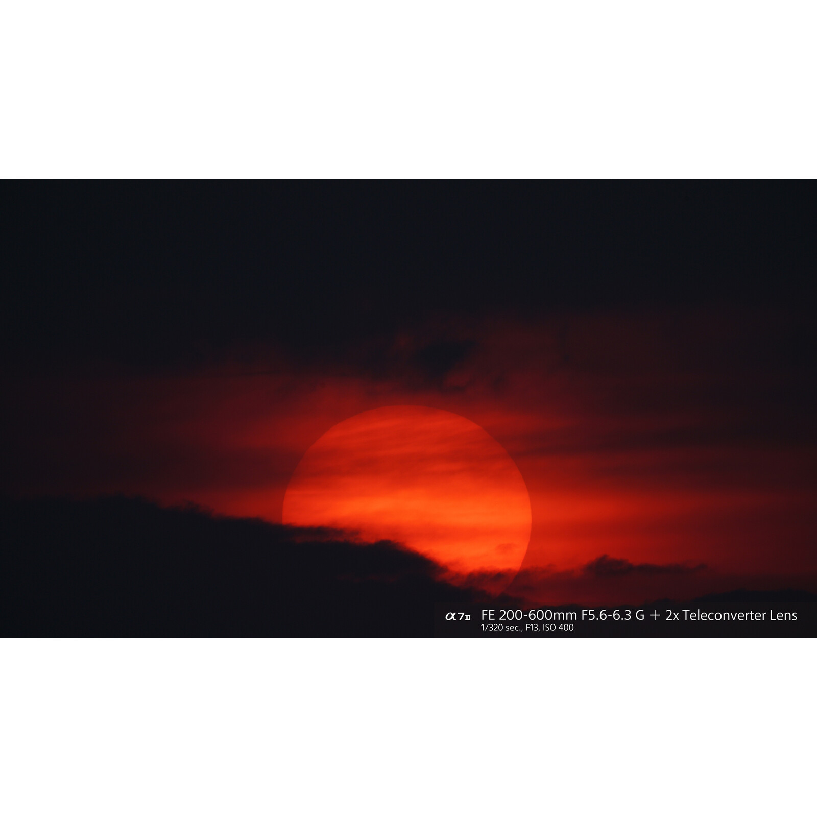 Sony FE 200-600/5,6-6,3 G OSS