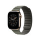 Apple Watch 42mm Sage Magnetic Link S/M