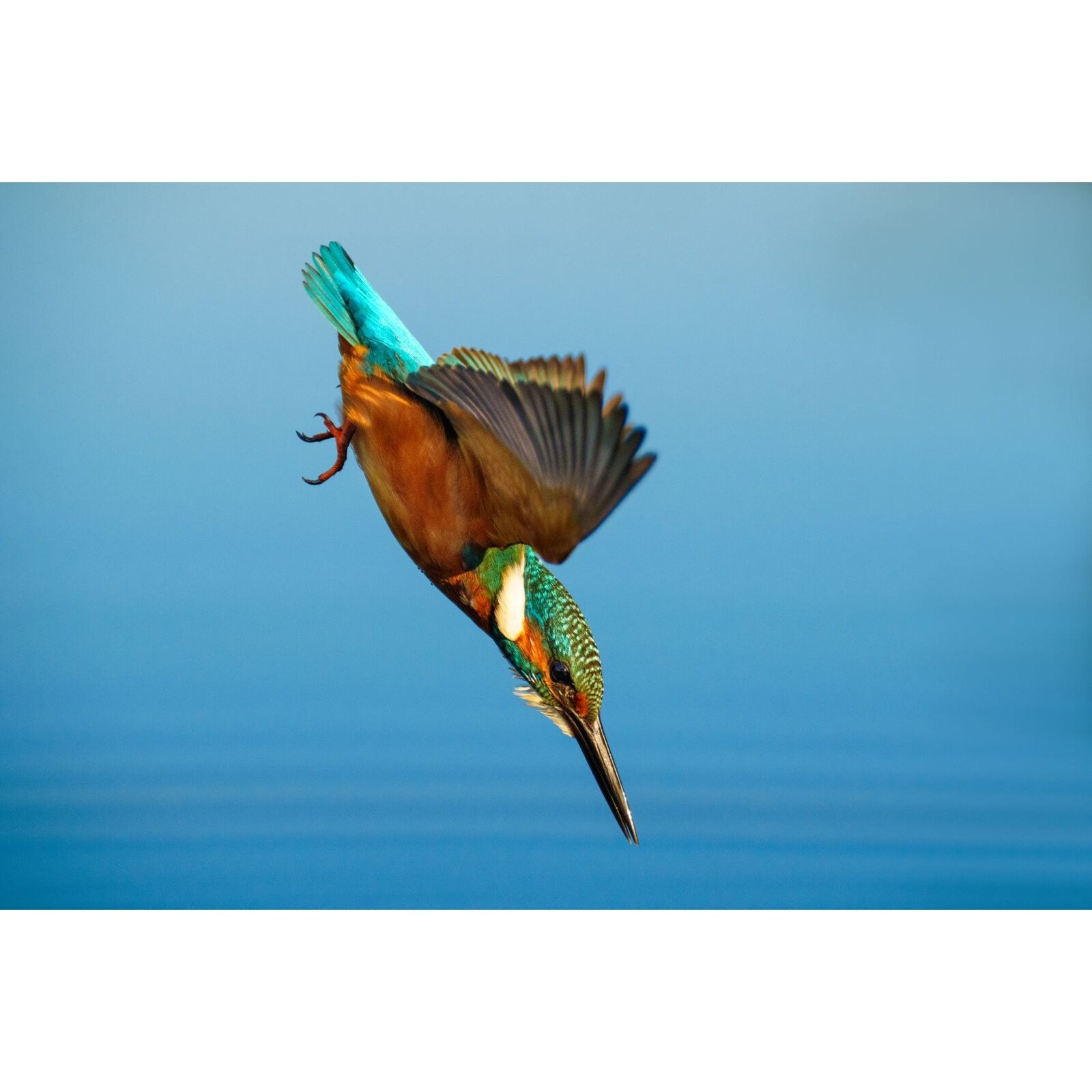Sony SEL 70200GMS FE 70-200/2,8 GM2