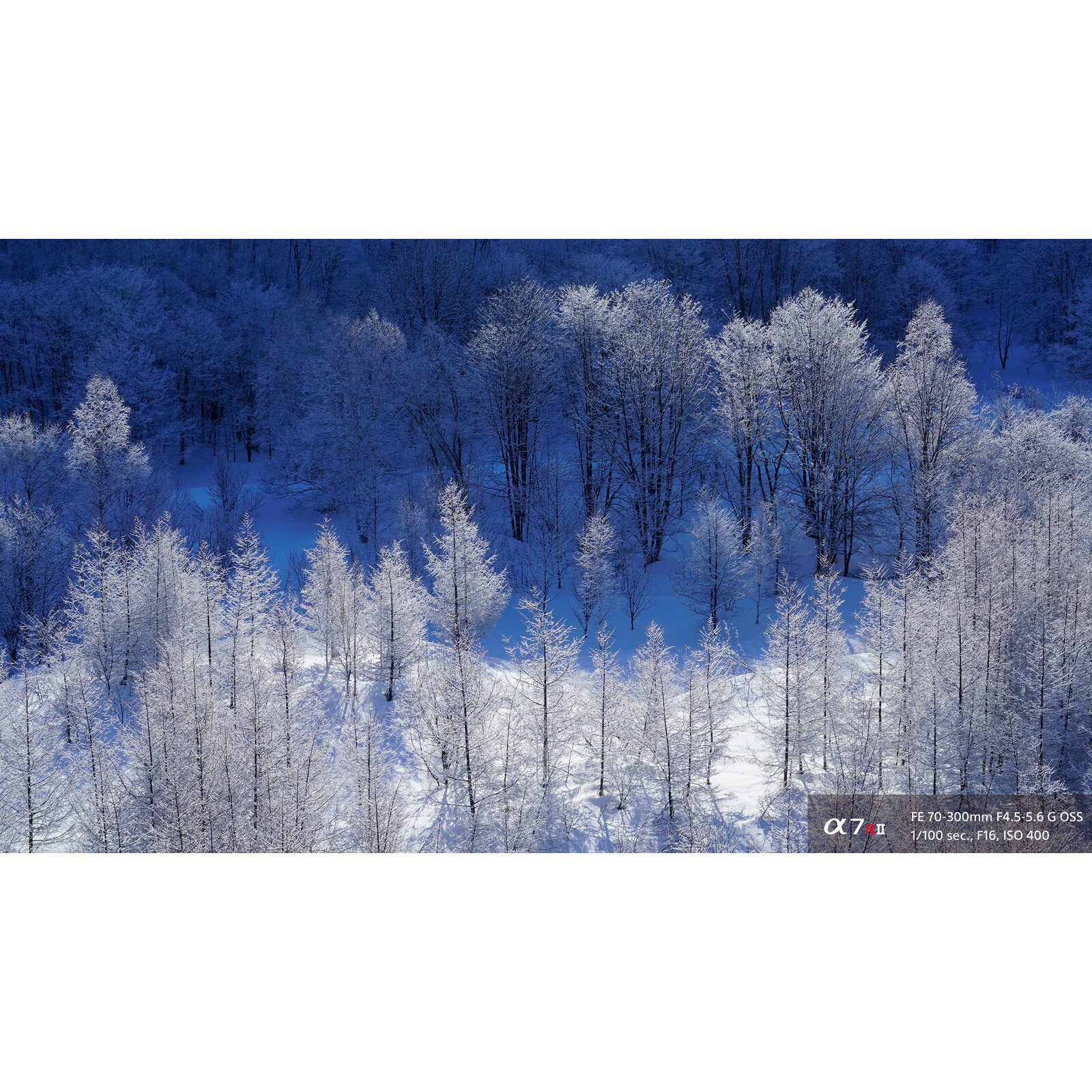 Sony SEL FE 70-300/4,5-5,6G OSS