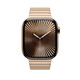 Apple Watch 46mm Gliederarmband gold 