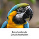 Sony SEL FE 100-400/F 5.6-8 OSS