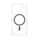Care Back Cover Flagship Magsafe Apple iPhone 16 Pro