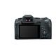 Canon EOS R8 + RF 24-105/4-7,1 IS STM