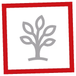 Icon_AGM_StarkeLehrlinge