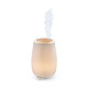 Beurer LA 45 Aroma Diffuser Green Planet