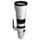 Sigma 300-600/4.0 DG OS Sony E-Mount