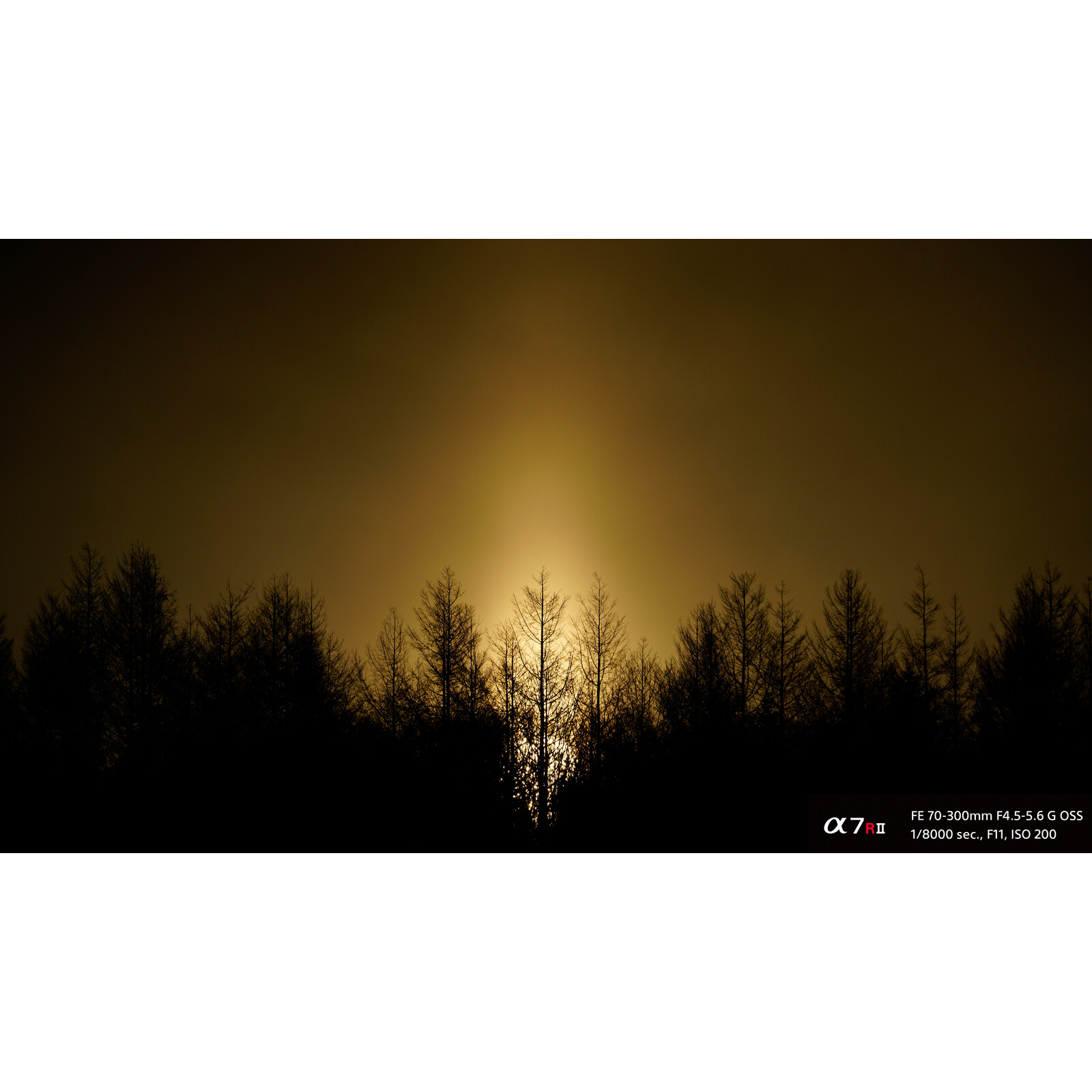 Sony SEL FE 70-300/4,5-5,6G OSS