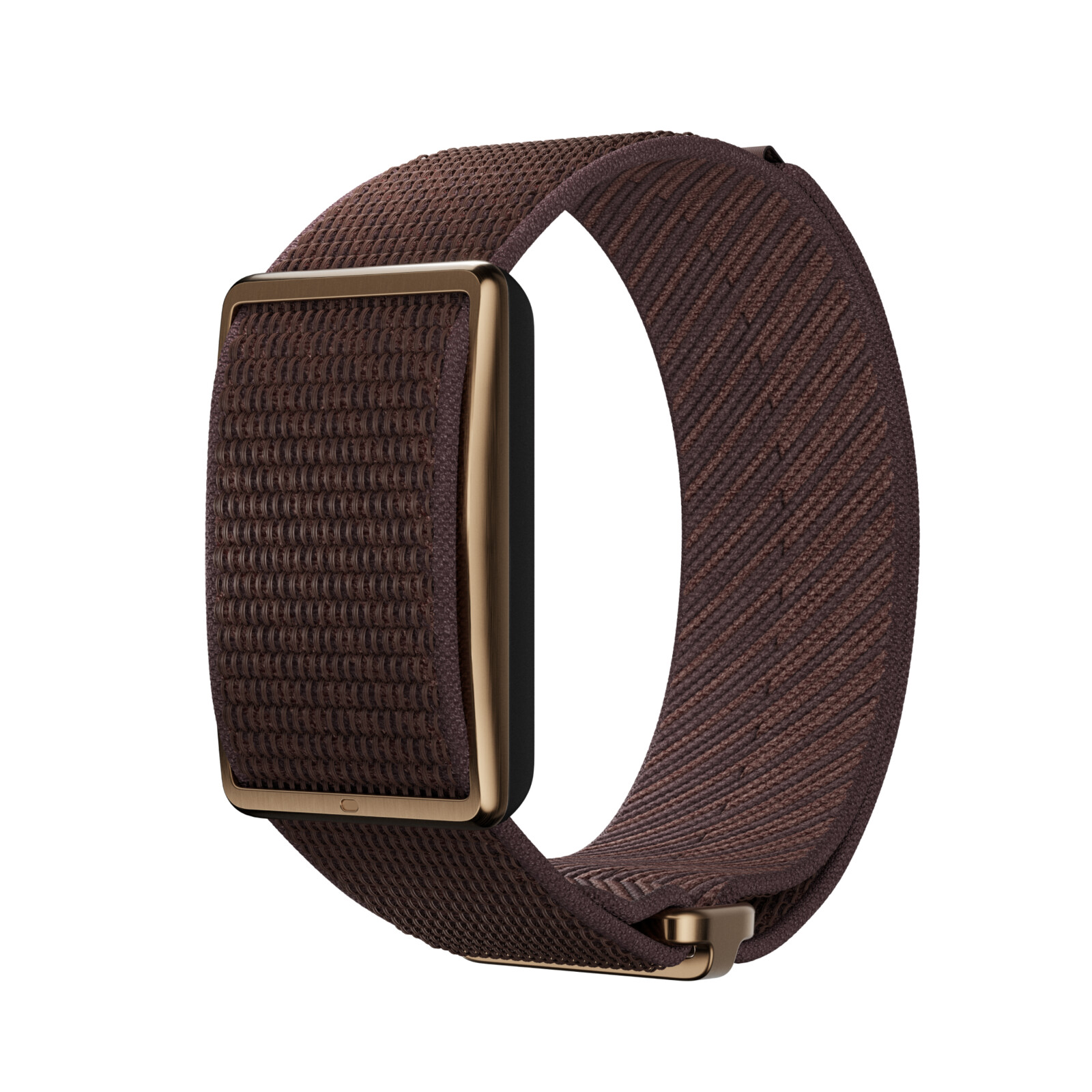 Polar Loop Tracker ohne Display Brown Copper