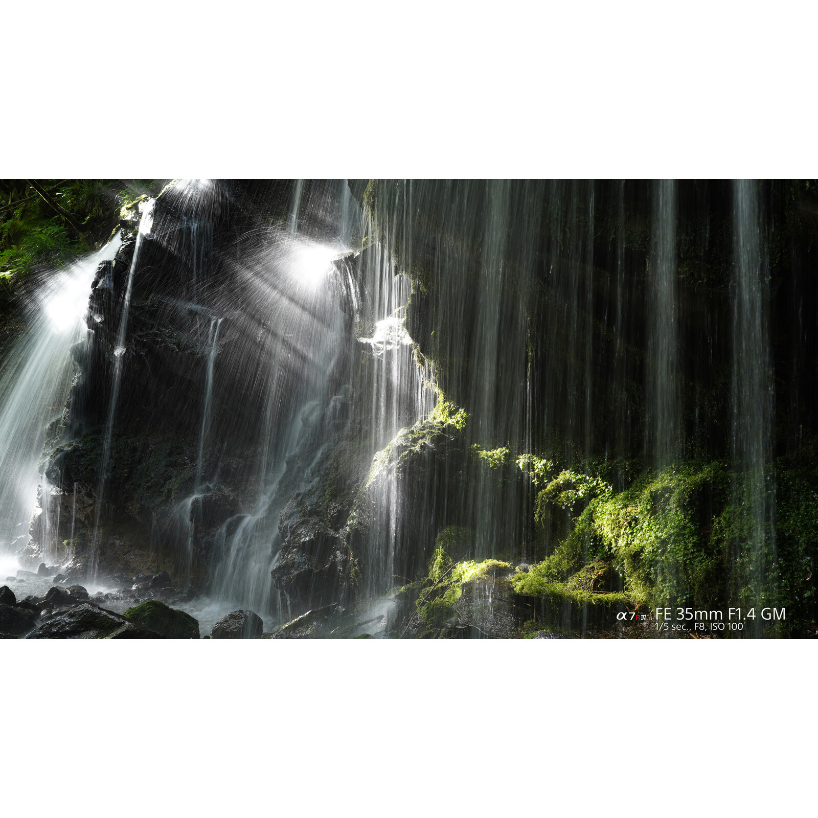 Sony SEL 35/1,4 GM
