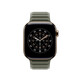 Apple Watch 46mm Sage Magnetic Link M/L