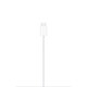 Apple MagSafe Ladegerät (2 m)