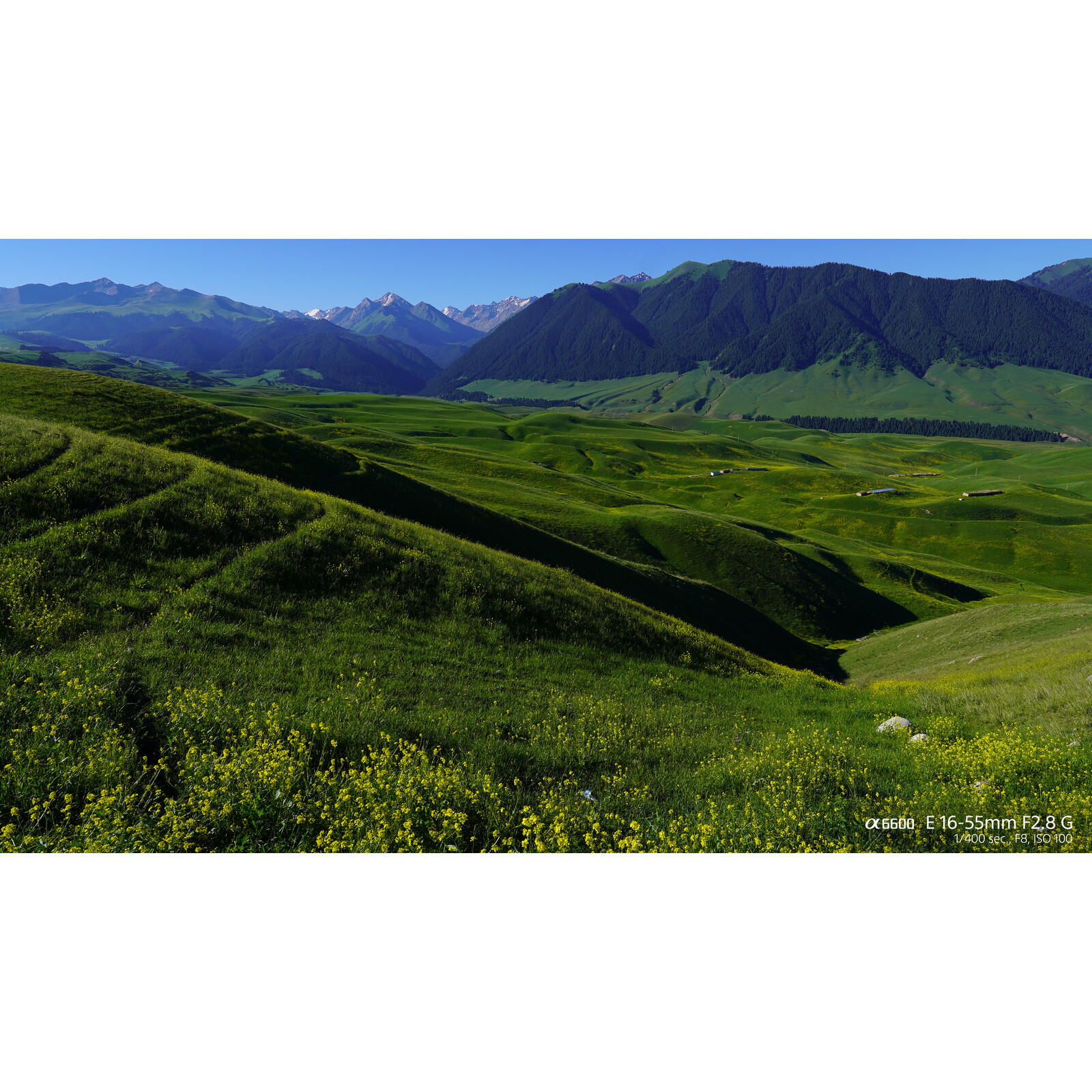 Sony SEL 16-55/2,8 G