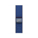 Apple Watch 42mm Blue Ribbon Nike Sport Loop