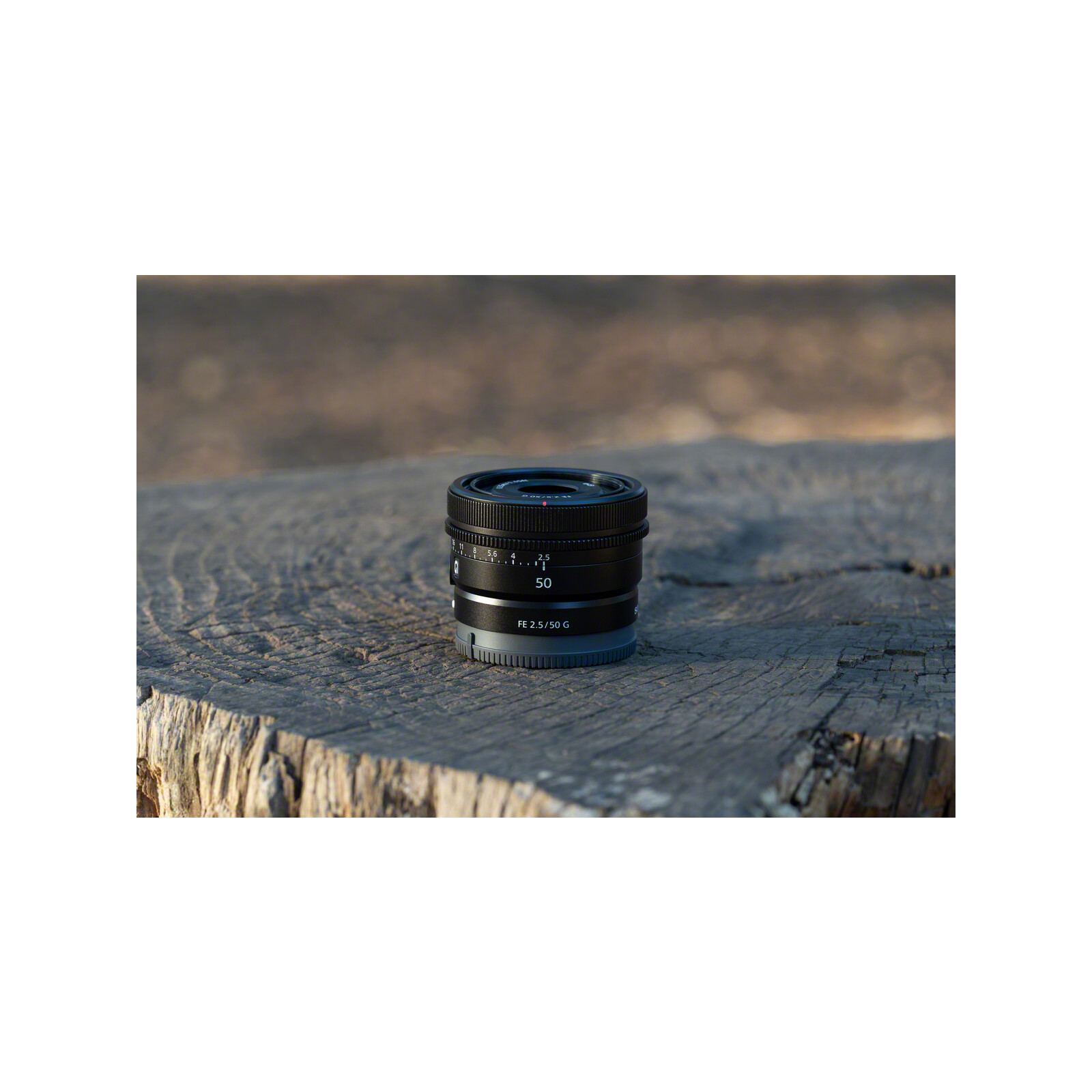 Sony SEL 50/2,5 G