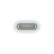 Apple USB-C auf Apple Pencil Adapater