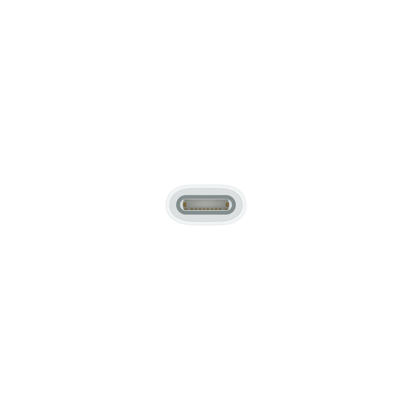 Apple USB-C auf Apple Pencil Adapater