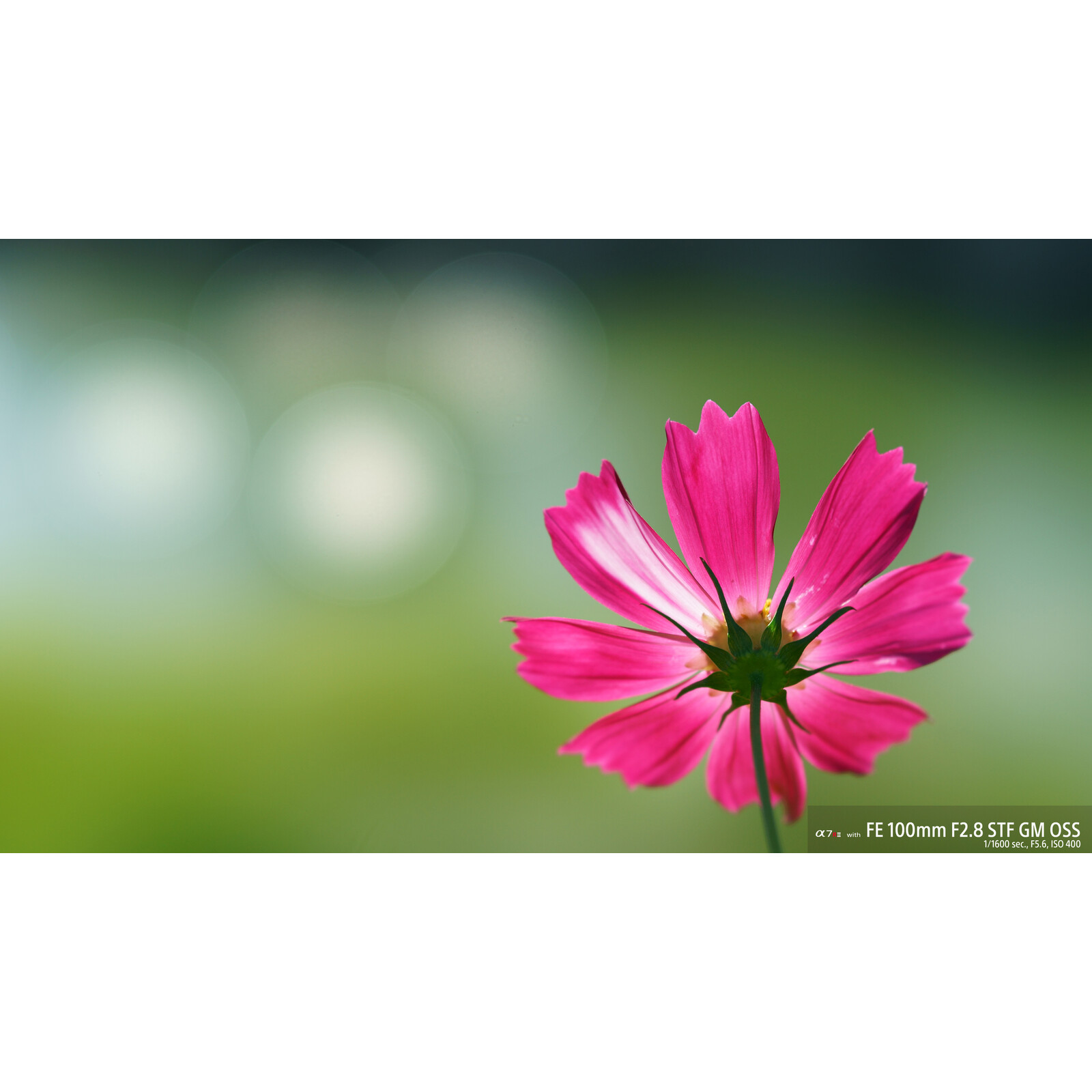 Sony SEL 100/2,8 GM
