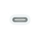 Apple USB-C auf Apple Pencil Adapater